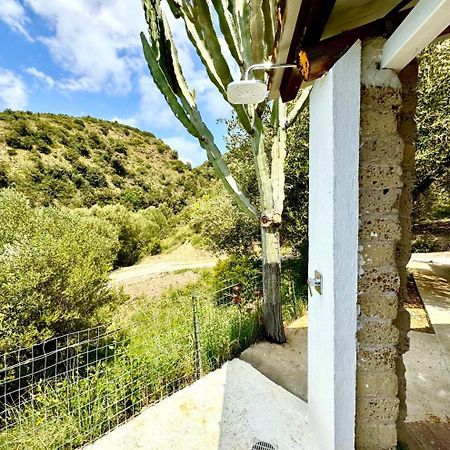 Villa Lo Scoglio أسشيا المظهر الخارجي الصورة