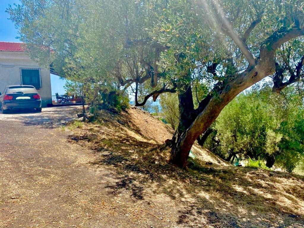 Villa Lo Scoglio أسشيا المظهر الخارجي الصورة