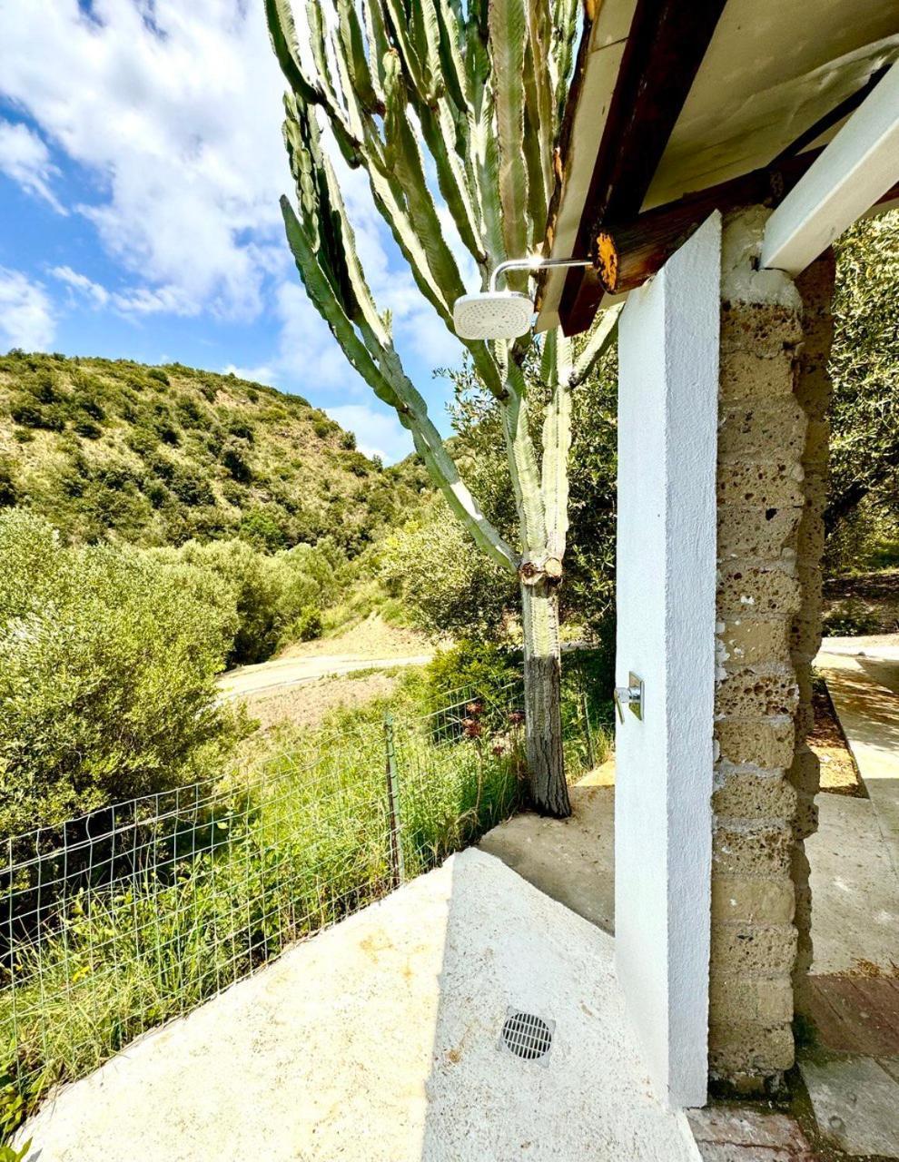 Villa Lo Scoglio أسشيا المظهر الخارجي الصورة